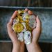 Hands holding crypto coins, illustrating GameFi token rewards