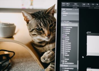 Tabby cat peeking out next to a laptop screen