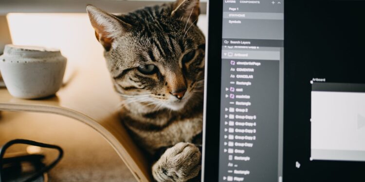 Tabby cat peeking out next to a laptop screen