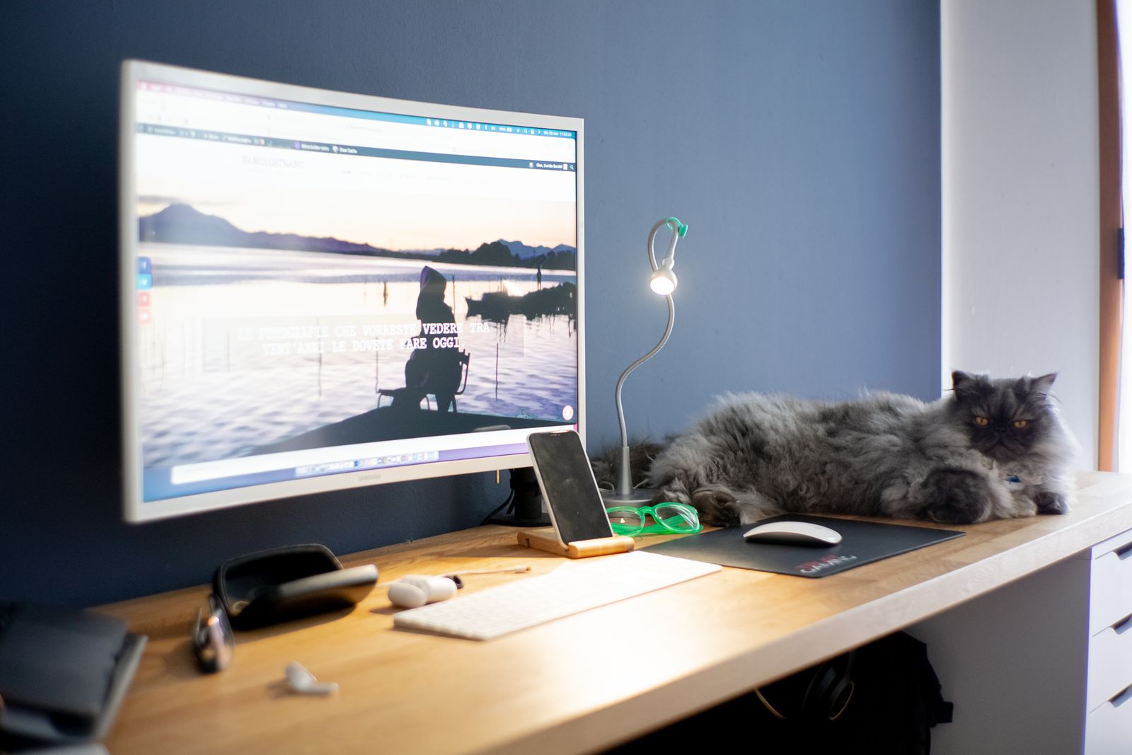 Grey long-haired cat resting on a desk next to a computer monitor